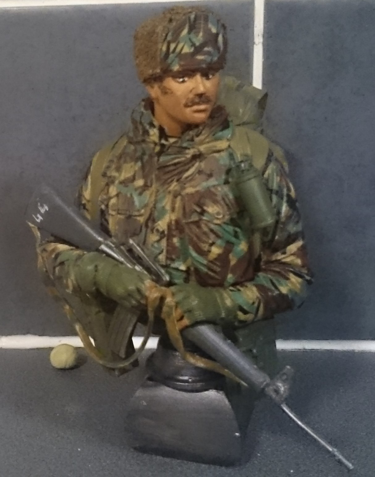 Image of the 1/10 SBS Bust